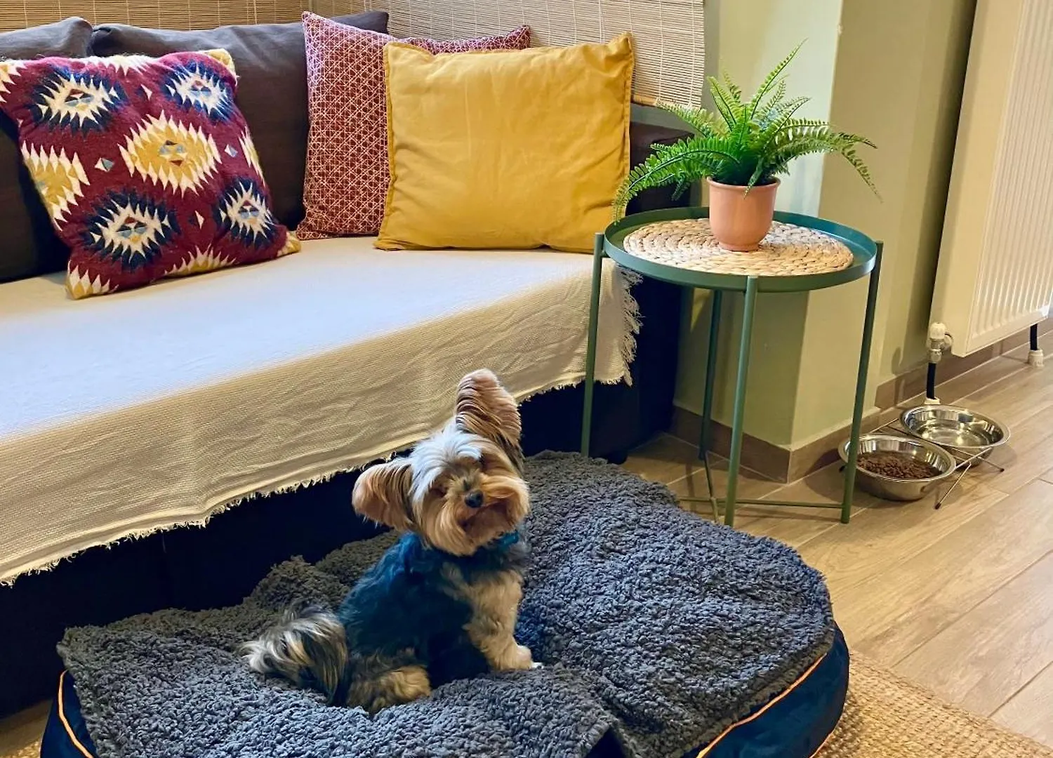 Super Cute & Cozy Mini Studios In City Center Θεσσαλονίκη